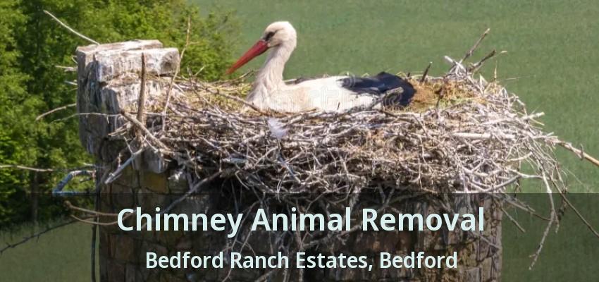 Chimney Animal Removal Bedford Ranch Estates, Bedford - TX