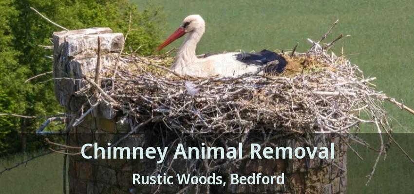 Chimney Animal Removal Rustic Woods, Bedford - TX