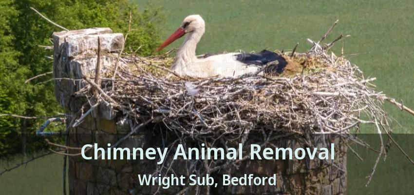 Chimney Animal Removal Wright Sub, Bedford - TX