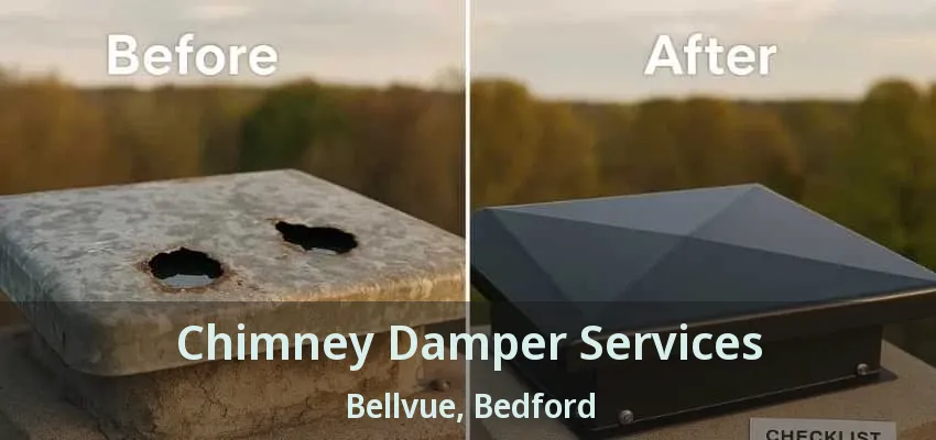Chimney Damper Services Bellvue, Bedford - TX