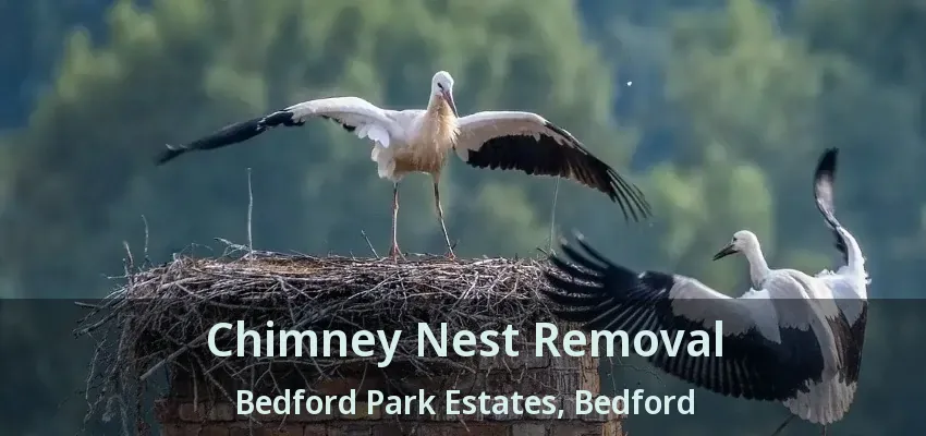 Chimney Nest Removal Bedford Park Estates, Bedford - TX