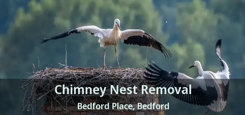 Chimney Nest Removal Bedford Place, Bedford - TX