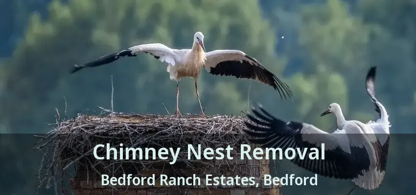 Chimney Nest Removal Bedford Ranch Estates, Bedford - TX