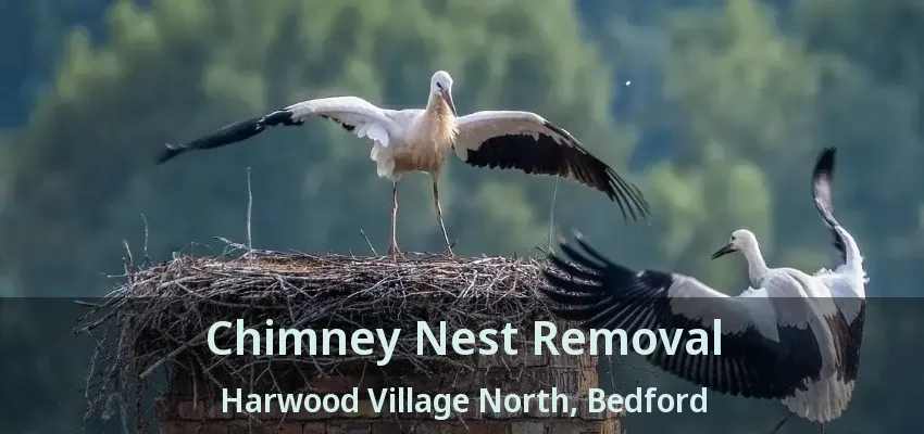 Chimney Nest Removal Harwood Village North, Bedford - TX