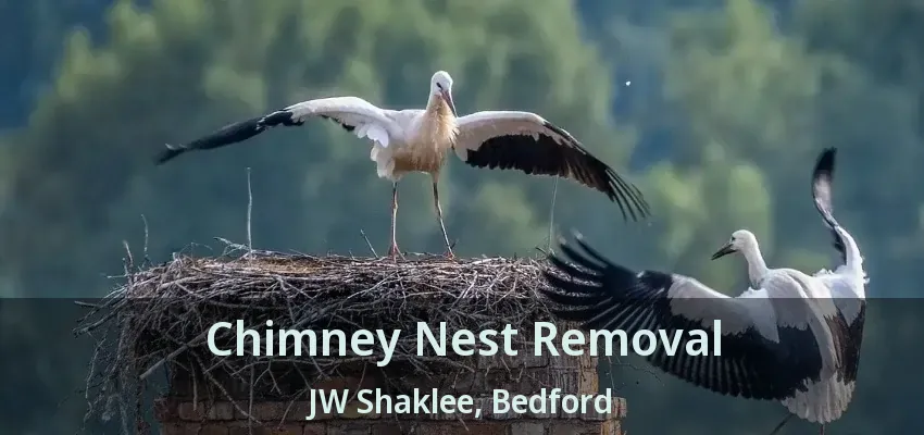 Chimney Nest Removal JW Shaklee, Bedford - TX
