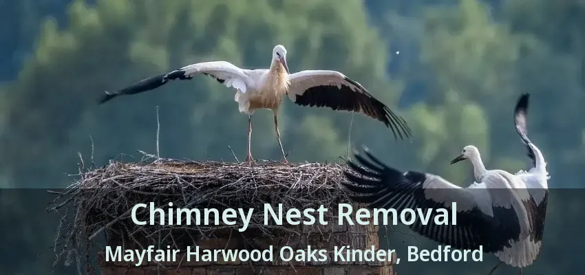 Chimney Nest Removal Mayfair Harwood Oaks Kinder, Bedford - TX