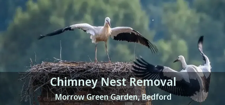 Chimney Nest Removal Morrow Green Garden, Bedford - TX