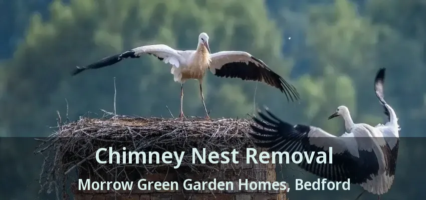 Chimney Nest Removal Morrow Green Garden Homes, Bedford - TX