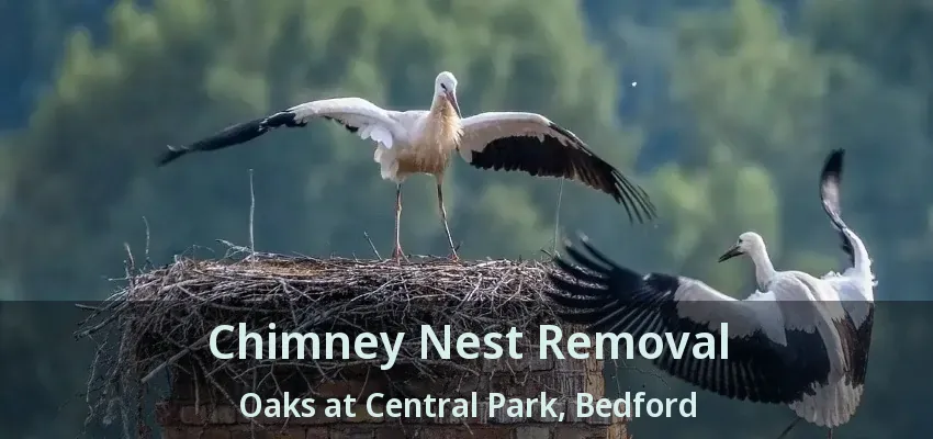 Chimney Nest Removal Oaks at Central Park, Bedford - TX