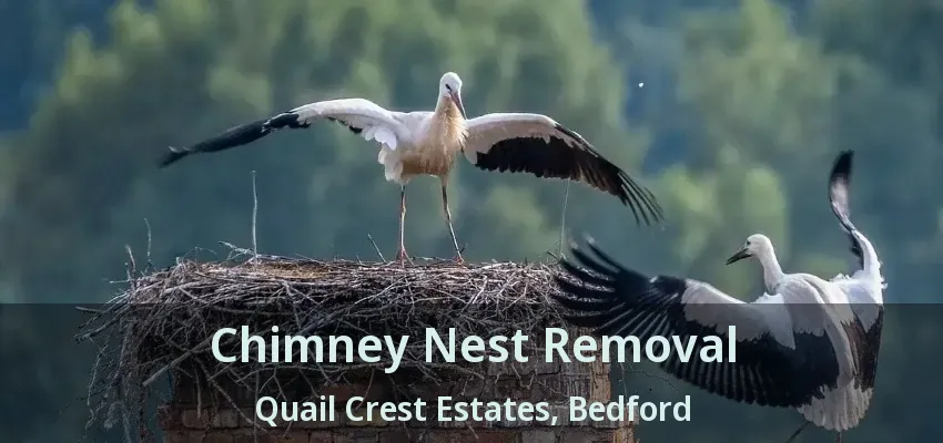 Chimney Nest Removal Quail Crest Estates, Bedford - TX