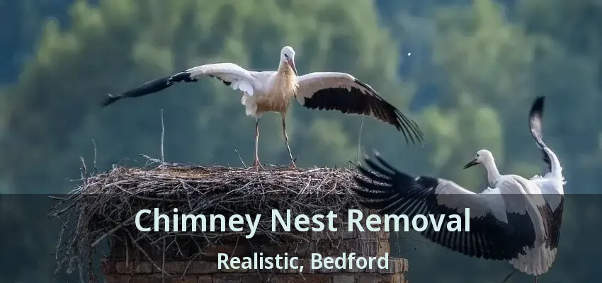 Chimney Nest Removal Realistic, Bedford - TX