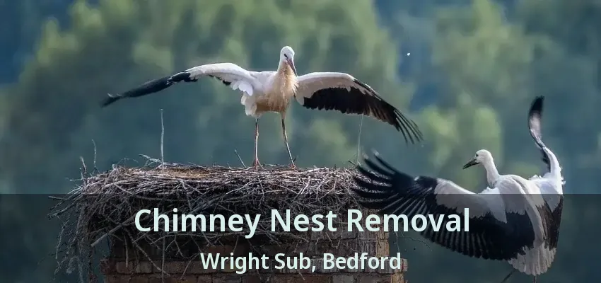 Chimney Nest Removal Wright Sub, Bedford - TX