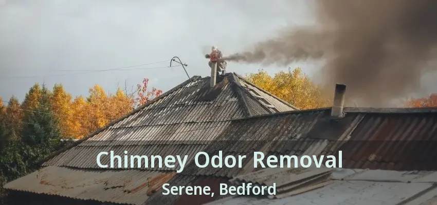 Chimney Odor Removal Serene, Bedford - TX