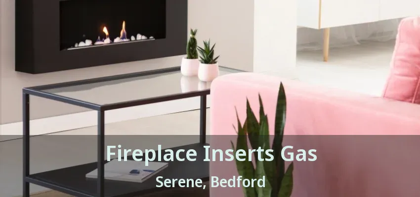 Fireplace Inserts Gas Serene, Bedford - TX