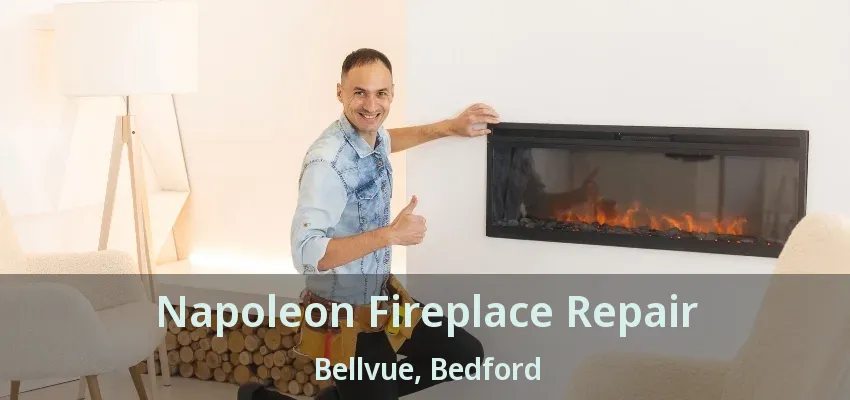 Napoleon Fireplace Repair Bellvue, Bedford - TX