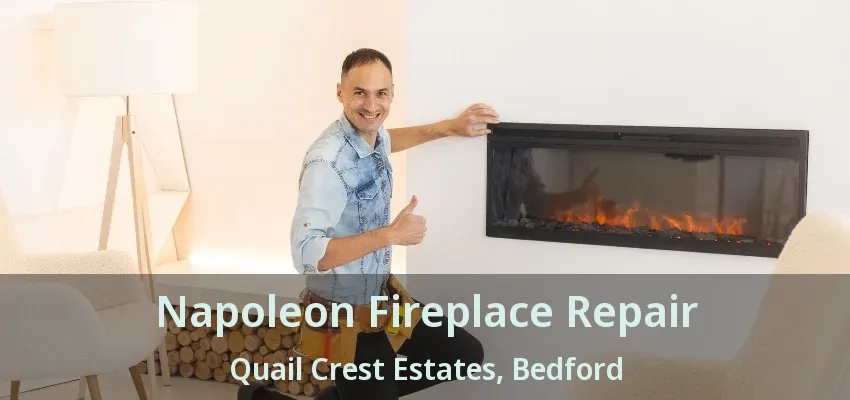 Napoleon Fireplace Repair Quail Crest Estates, Bedford - TX