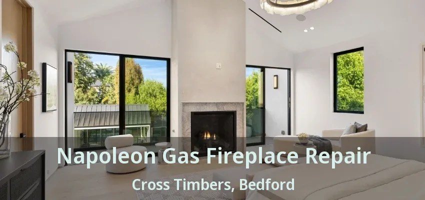 Napoleon Gas Fireplace Repair Cross Timbers, Bedford - TX
