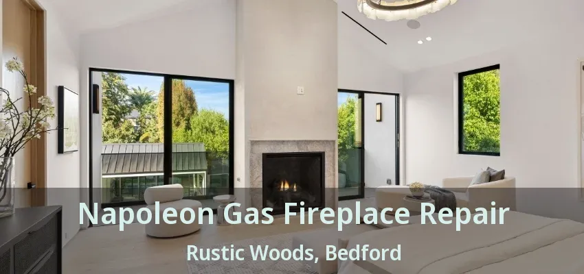 Napoleon Gas Fireplace Repair Rustic Woods, Bedford - TX