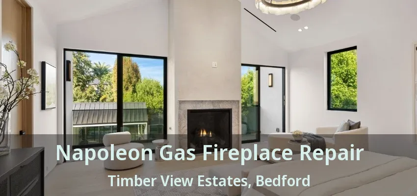 Napoleon Gas Fireplace Repair Timber View Estates, Bedford - TX