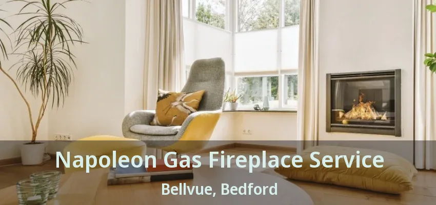 Napoleon Gas Fireplace Service Bellvue, Bedford - TX