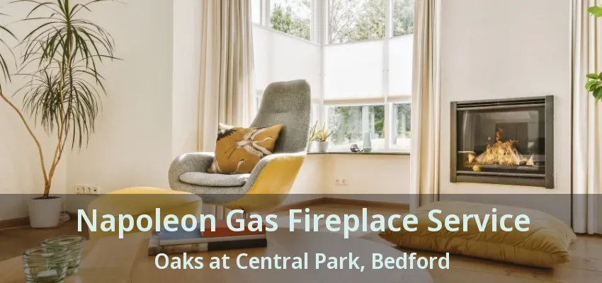 Napoleon Gas Fireplace Service Oaks at Central Park, Bedford - TX