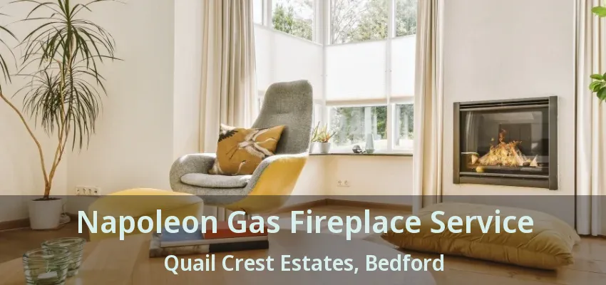 Napoleon Gas Fireplace Service Quail Crest Estates, Bedford - TX