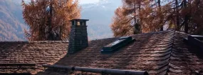 Chimney Animal Removal Bedford