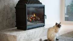 Wood Burning Fireplace Repair Bedford